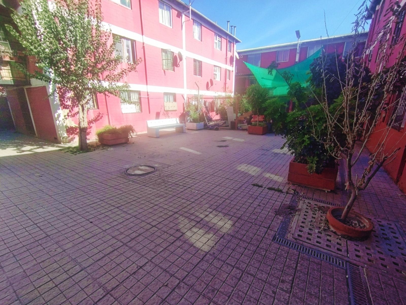 WhatsApp Image 2026-03-26 at 17.29.16 (3) - copia_69c68f2371bb1.jpeg